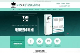 电磁加热控制器-河北安强电气科技有限公司：www.anqiangreboshi.com