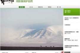 野性中国|中国濒危物种公益计划：www.wildchina.cn