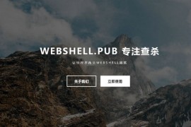 WebShell|网站后门检测工具：www.webshell.pub