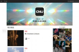 中国视觉联盟CNU：www.cnu.cc