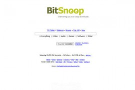 BitSnoop:P2P实时有效种子搜索引擎
