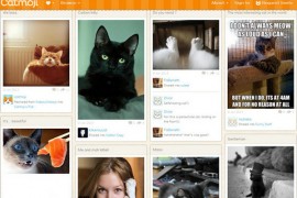 CatMoJi:宠物猫咪图片社交网