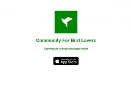 鸟类百科|鸟类爱好者必备查询应用：birdlover.cn