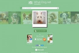 WhatDog:狗狗图片识图搜索网：www.what-dog.net