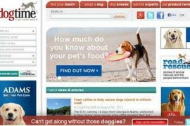 DOGTIME|狗狗时刻： dogtime.com