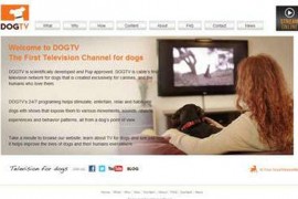DOGTV|面向狗狗的电视节目： www.dogtv.com