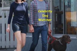 CELEBRITY DOG WATCHER|名人狗狗观察：www.celebritydogwatcher.com