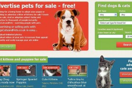 DOGS CATS & PETS|宠物网： www.dogscatsandpets.co.uk