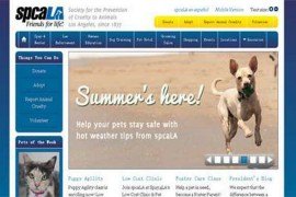 spcala|洛杉矶动物保护学会：spcala.com