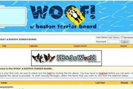 woofboard|波士顿狗狗网：www.woofboard.com