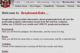 GREYHOUND-DATA|灰狗数据： greyhound-data.com