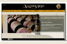 Vinavaldivieso:智利葡萄酒品牌