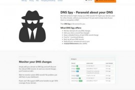DnsSpy|实时域名动态监控服务网：dnsspy.io