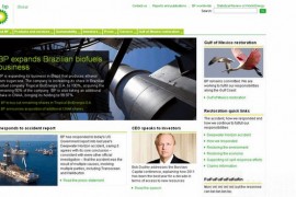 英国BP石油公司官方网站：www.bp.com