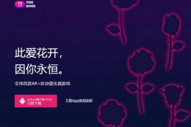 TheRose|区块链玫瑰AR实景游戏：bfc.baofeng.com