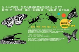 台湾木生昆虫博物馆：www.insect.com.tw