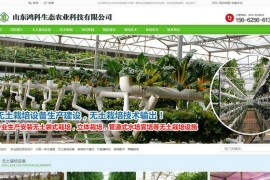 无土栽培技术-山东鸿科生态农业有限公司：www.kechws.com
