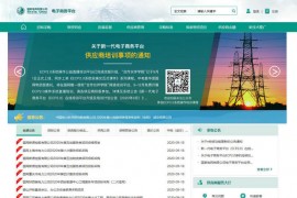 国家电网公司电子商务平台：ecp.sgcc.com.cn