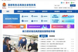 湖北国税网-湖北省税务局：hubei.chinatax.gov.cn