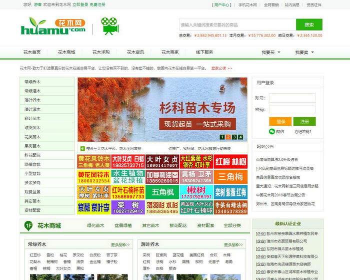 中国花木网 - 中国花木在线交易专业平台：www.huamu.com