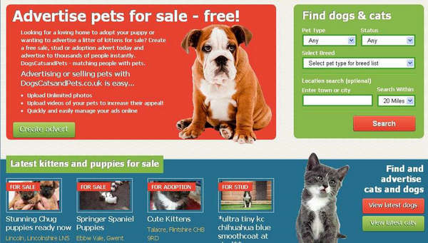 DOGS CATS & PETS|宠物网： www.dogscatsandpets.co.uk
