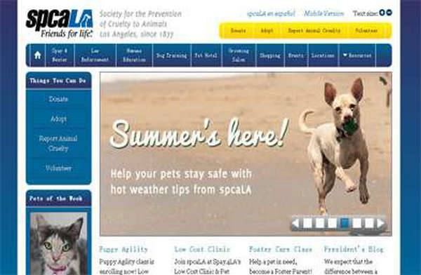 spcala|洛杉矶动物保护学会：spcala.com