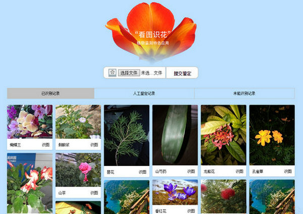 传图识花|在线花卉识别工具：stu.iplant.cn/web