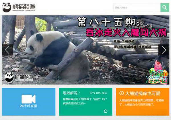 iPanda:在线大熊猫直播频道网：ipanda.com