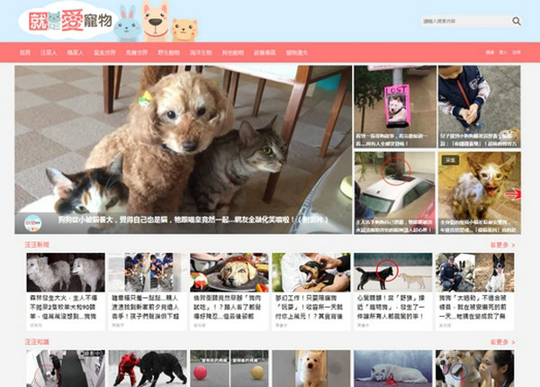 iPetGroup｜台湾《就是愛寵物 》社区：ipetgroup.com
