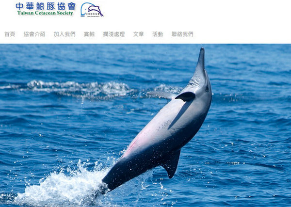 Whale:中华鲸豚保护协会：www.whale.org.tw